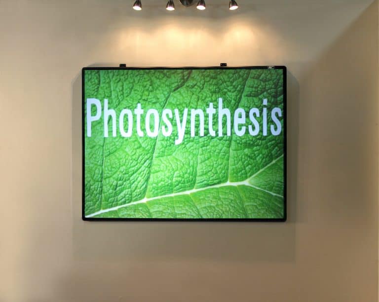 Ambient Light Rejecting WhiteBoardScreen