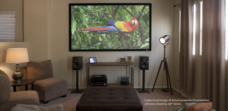 Large projection screen displaying colorful parrot in a cozy living room setup.