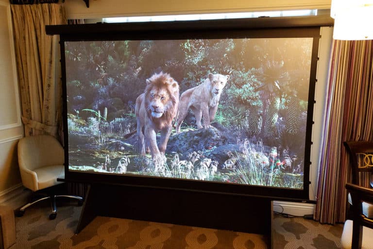 Projection screen with lion and lioness image for home theater setup.