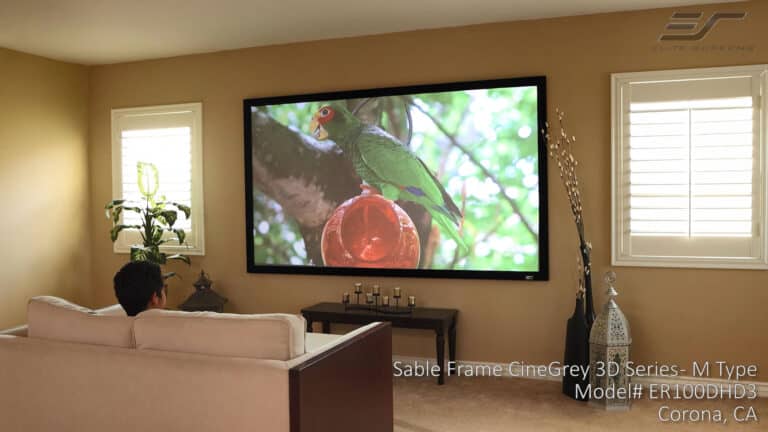 Projection screen with a vivid nature scene displayed for home theater viewing.
